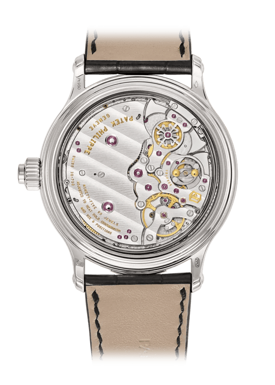 GE AND PE. SONNERIE. MINUTE RR - PLATINUM BLACK view 2