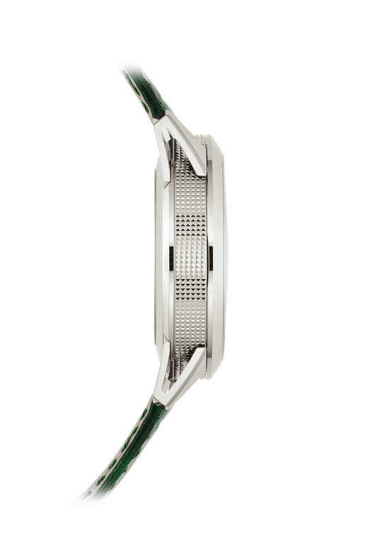 CG. ALARM - GREEN view 4