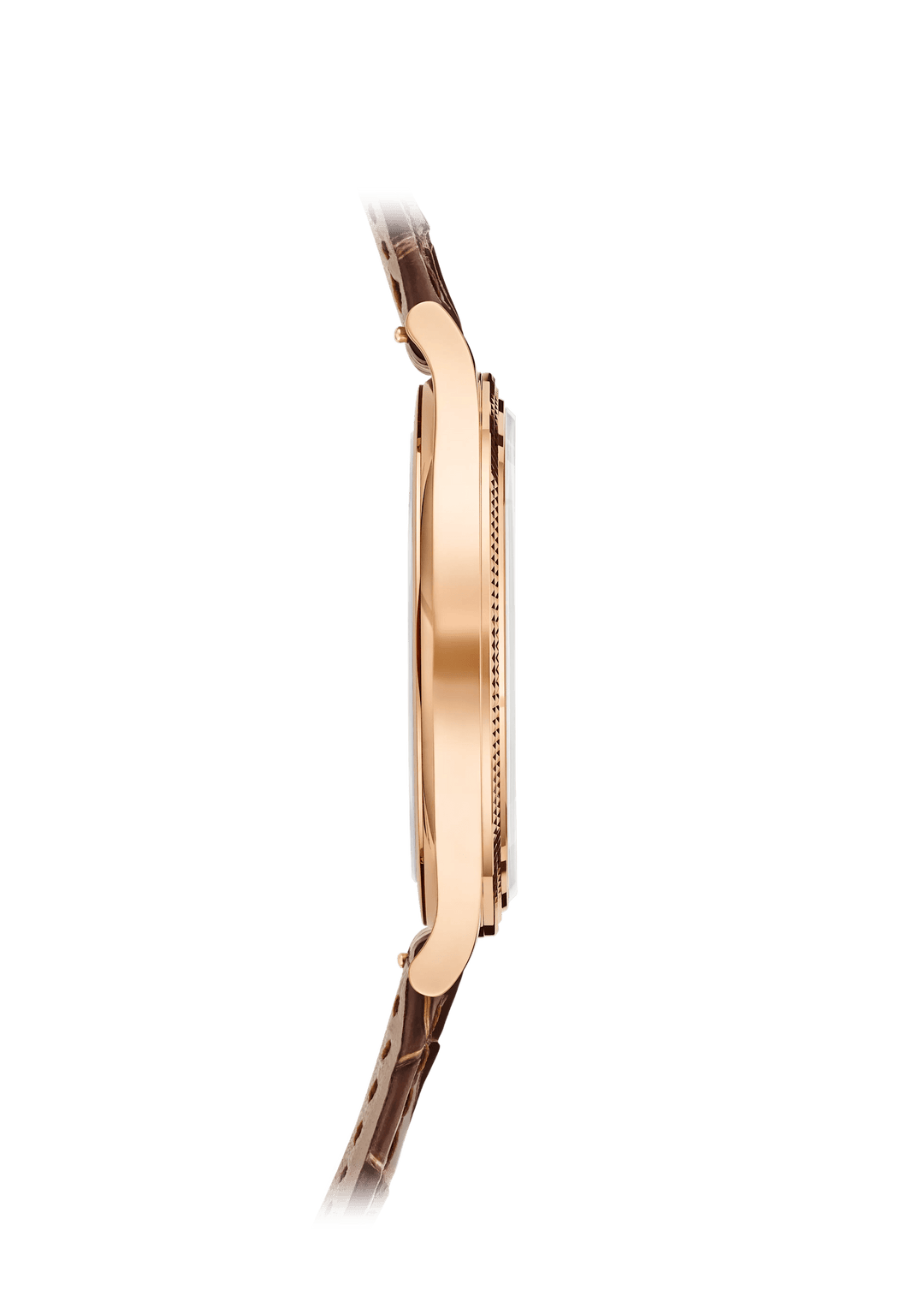 CALATRAVA - BROWN AND GOLD view 4