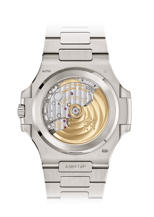 DATE SP. SS. - BLUE AND WHITE GOLD view 2