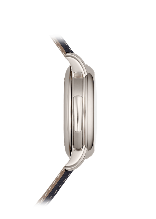 MINUTE RR. TOURBILLON RETROGATE P. CALENDAR - PLATINUM view 4