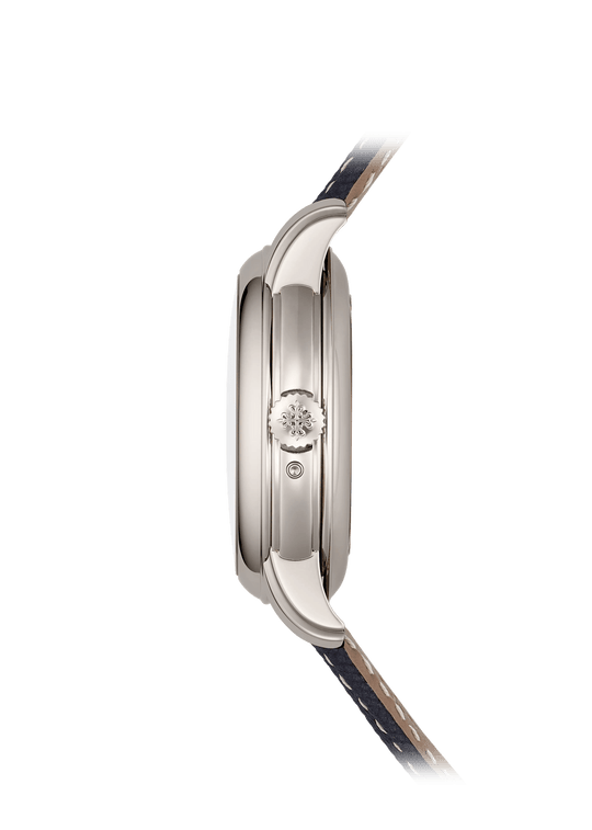 MINUTE RR. TOURBILLON RETROGATE P. CALENDAR - PLATINUM view 3
